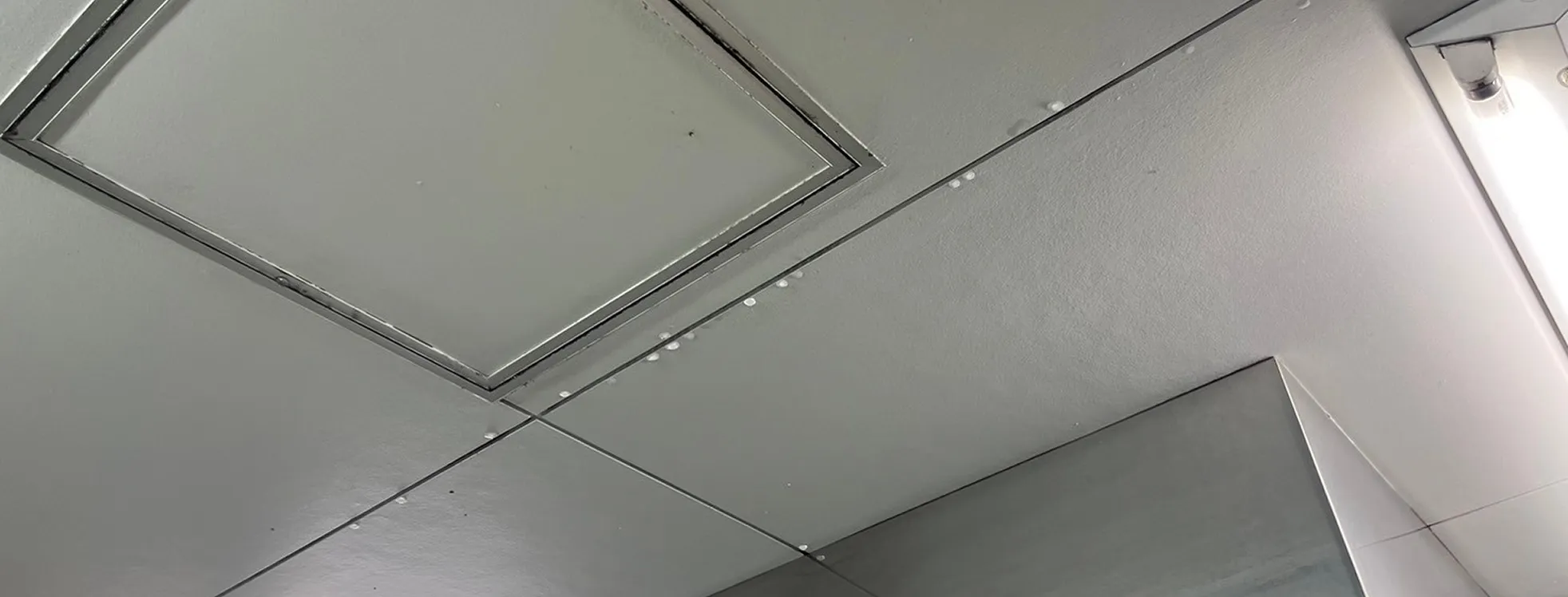 ⼯場の⾬漏りリスクは甚⼤！雨漏りによっておこる損失